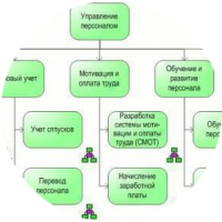 Бизнес-процессы по Управлению персоналом